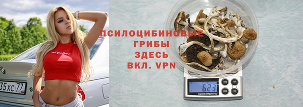 ешки Володарск