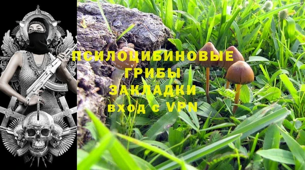 ешки Володарск