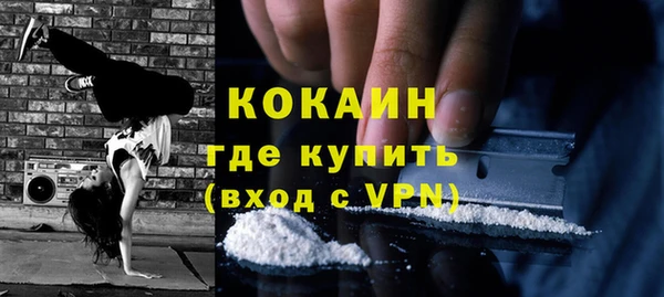 сатива Вязьма
