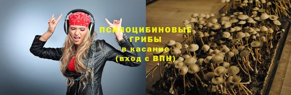 ешки Володарск