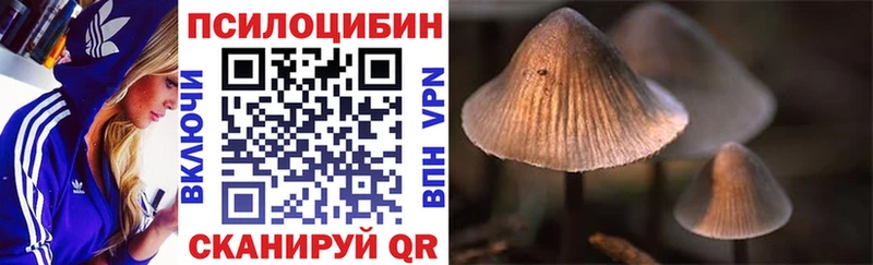 Галлюциногенные грибы Magic Shrooms  ссылка на мегу ссылки  Каргат 